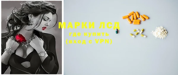ПСИЛОЦИБИНОВЫЕ ГРИБЫ Арсеньев