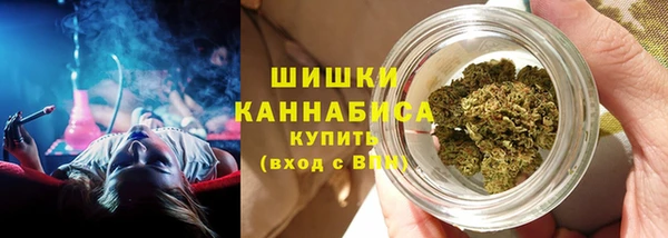 ПСИЛОЦИБИНОВЫЕ ГРИБЫ Арсеньев