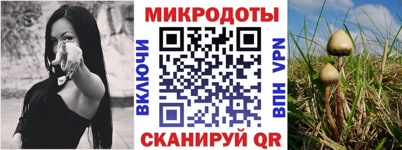 Псилоцибиновые грибы MAGIC MUSHROOMS  Старая Русса 